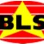 PT Bintang Lestari Sejahtera Logo